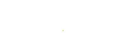 LS Retail